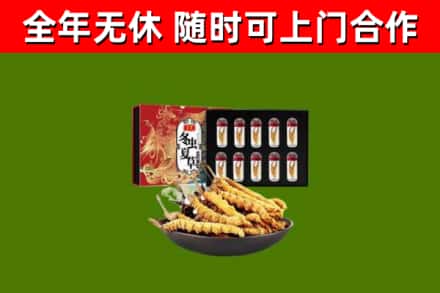 月湖区回收冬虫夏草价格